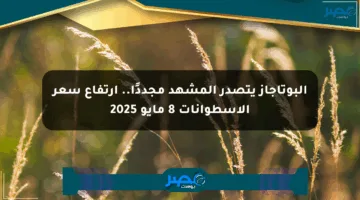 البوتاجاز يتصدر المشهد مجددًا.. ارتفاع سعر الأسطوانات 8 مايو 2025